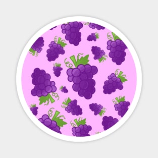 GRAPES Magnet